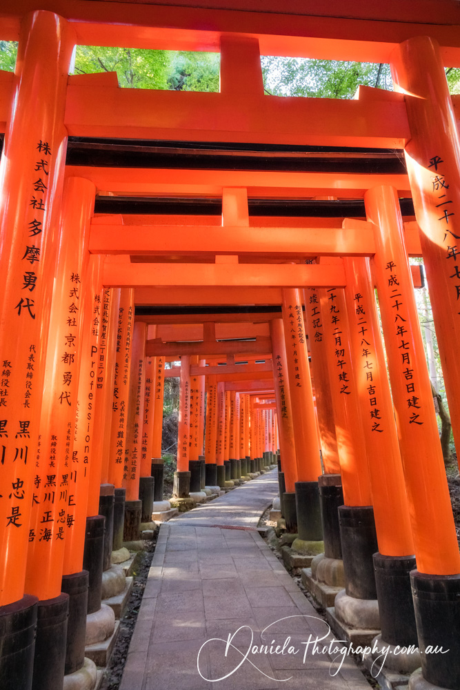 Kyoto  Senbon Torii (Thousand Torii Gates) at Fushimi Inari Shrine